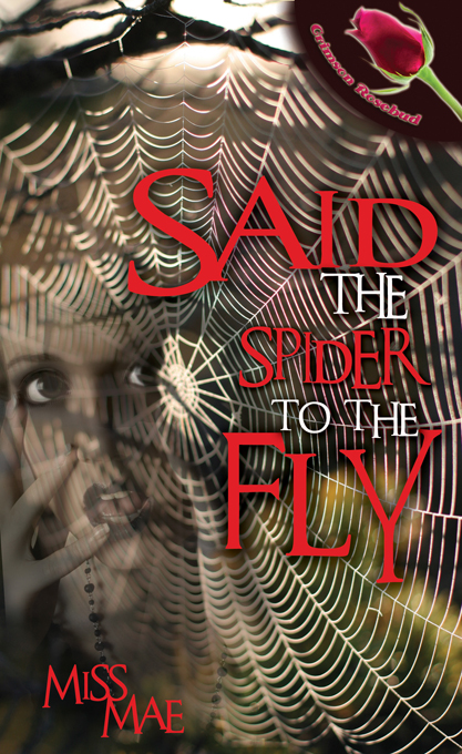SaidTheSpiderToTheFly_2608_680