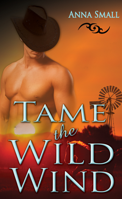 TameTheWildWind_w1862_680